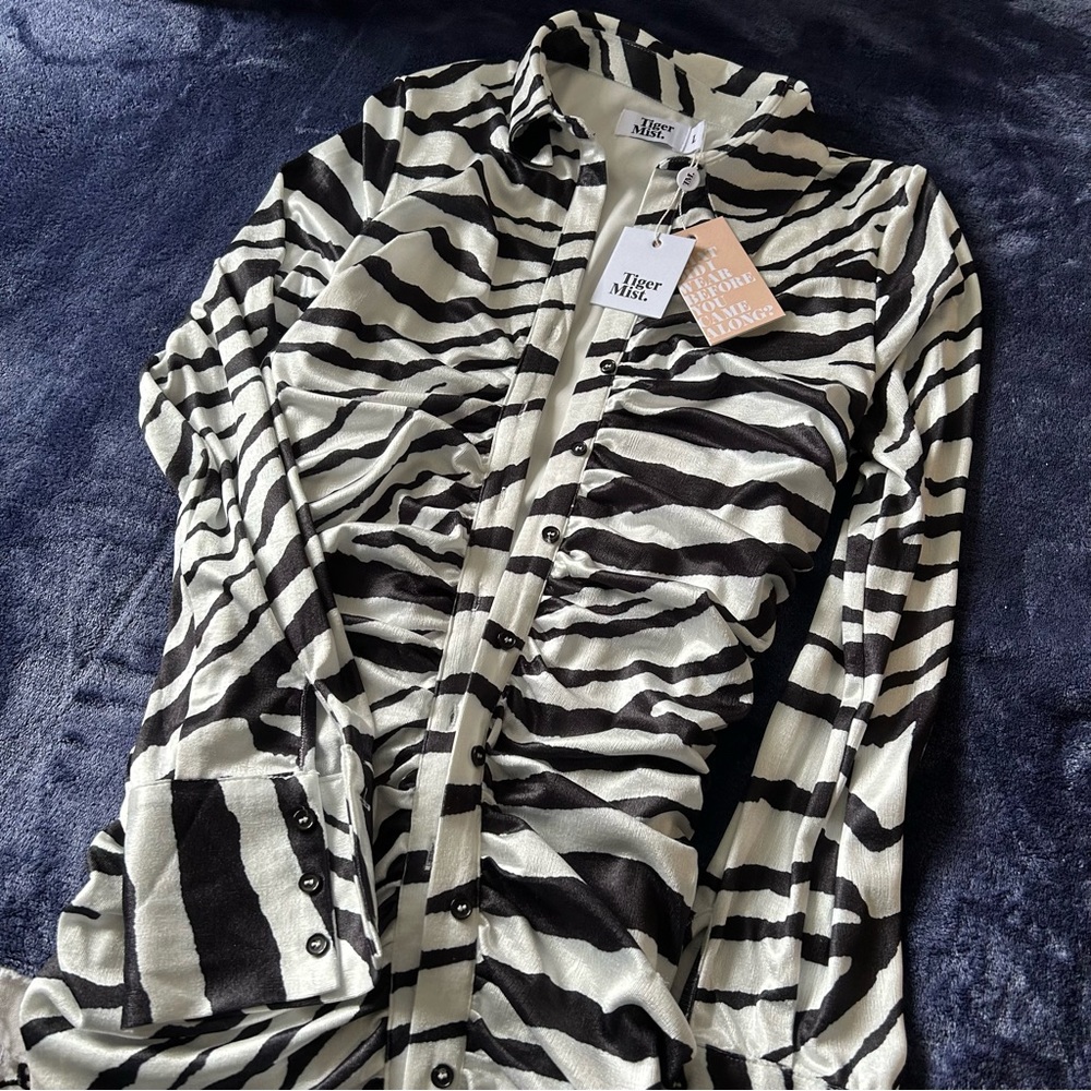 Button Up Zebra Mini Dress